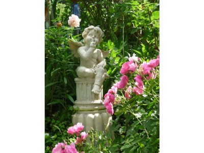 Apartment Appartement/Fewo, Dusche, WC, ruhig - Features photo 23