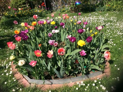 Apartment Appartement/Fewo, Dusche, WC, ruhig - Features photo 34