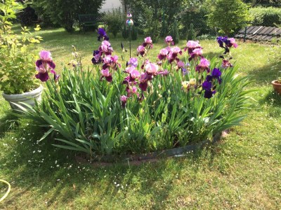 Apartment Appartement/Fewo, Dusche, WC, ruhig - Features photo 35