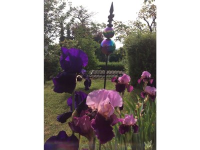 Apartment Appartement/Fewo, Dusche, WC, ruhig - Features photo 36