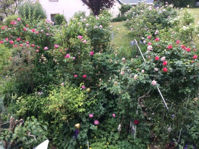 Apartment Appartement/Fewo, Dusche, WC, ruhig - Features photo 37