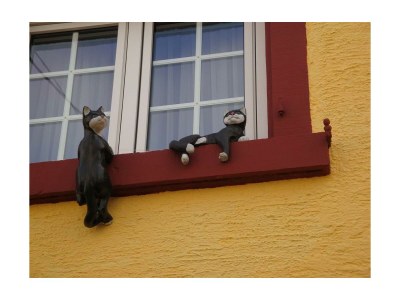 Apartment FeWO Margarita in Geinsheim - Apartment