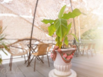 Holiday room Vierbettzimmer - Outdoor photo 3