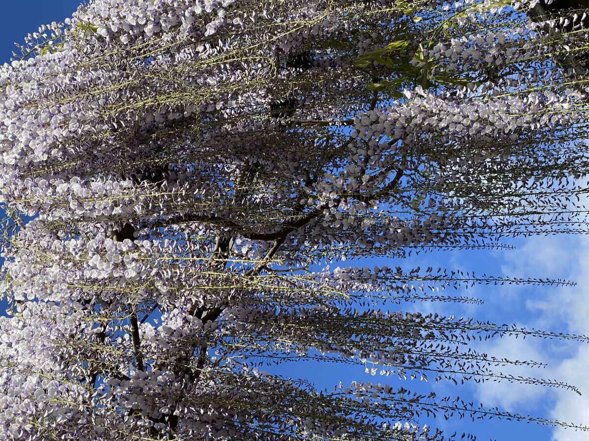 Apartment Appartement/Fewo, Dusche und Bad, WC, Erdgeschoß/P - Outdoor photo 5