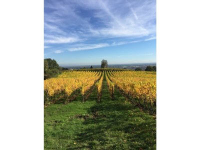 Apartment Appartement/Fewo, Dusche und Bad, WC, Erdgeschoß/P - Outdoor photo 9