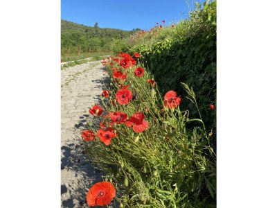 Apartment Appartement/Fewo, Dusche und Bad, WC, Erdgeschoß/P - Outdoor photo 11