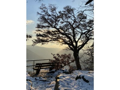 Apartment Appartement/Fewo, Dusche und Bad, WC, Erdgeschoß/P - Outdoor photo 13