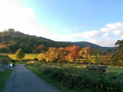 Apartment Appartement/Fewo, Dusche und Bad, WC, 2. Schlafraum - Outdoor photo 16