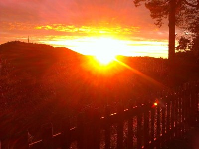 Apartment Appartement/Fewo, Dusche und Bad, WC, 2. Schlafraum - Outdoor photo 18