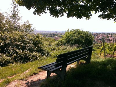 Apartment Appartement/Fewo, Dusche und Bad, WC, 2. Schlafraum - Outdoor photo 19