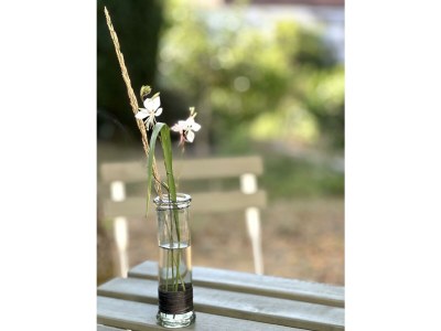 Apartment Rosa.Rod Appartement - Outdoor photo 15