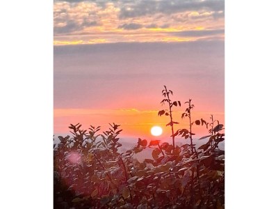 Apartment Appartement/Fewo, Dusche und Badewanne, ruhig - Outdoor photo 39