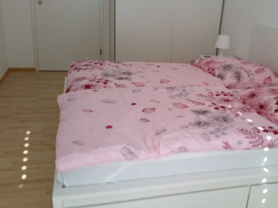 Apartment Appartement/Fewo, Dusche und Badewanne, ruhig - Features photo 49