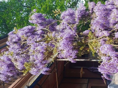 Apartment FeWo 2, Dusche und Badewanne, 2 Schlafräume, Pool - Outdoor photo 14