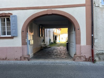 Apartment Fewo Typ B, Dusche, 1 Schlafraum in Neustadt-Hambach - Apartment