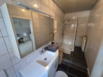Apartment Fewo Typ B, Dusche, 1 Schlafraum - Features photo 19