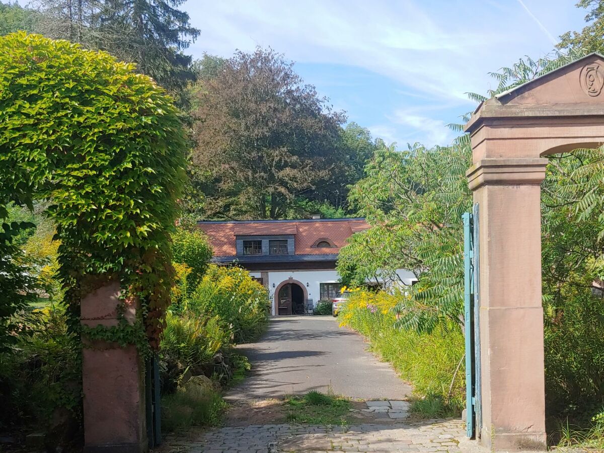 Apartment FeWo 3, Dusche, waldseitig, Pool - Outdoor photo 2
