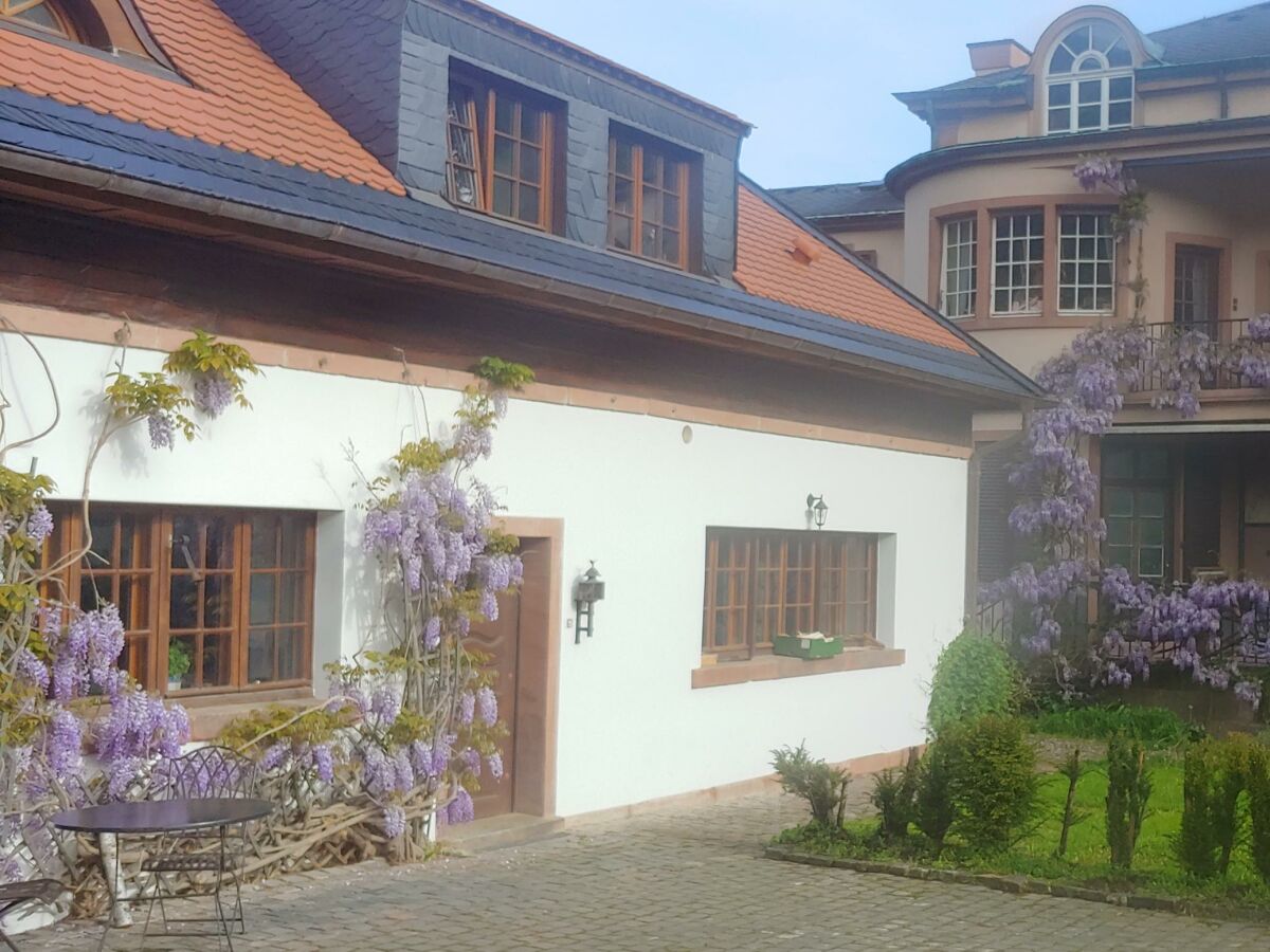 Apartment FeWo 3, Dusche, waldseitig, Pool - Outdoor photo 5