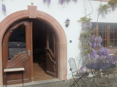 Apartment FeWo 3, Dusche, waldseitig, Pool - Outdoor photo 9