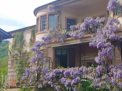 Apartment FeWo 3, Dusche, waldseitig, Pool - Outdoor photo 11