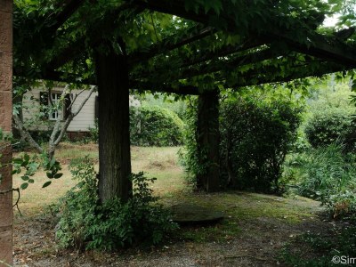 Apartment FeWo 3, Dusche, waldseitig, Pool - Outdoor photo 13