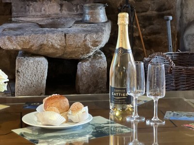 Holiday house Manoir « Pont du Jégu » - Features photo 19