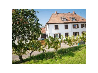 Apartment Ferienwohnung Weinstraße 302 in Neustadt - Hambach - Apartment