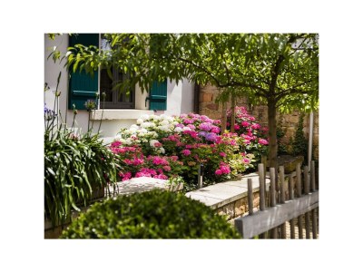 Apartment Fewo 2 - Appartement - Outdoor photo 6