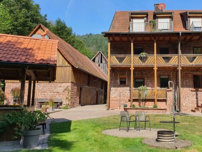 Apartment Ferienwohnung Wegelnburg - Outdoor photo 12