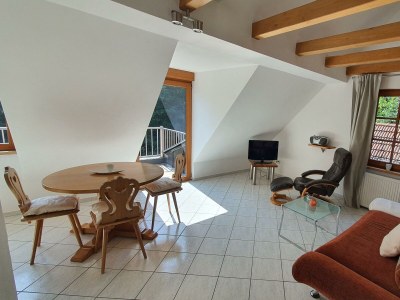 Apartment Ferienwohnung Wegelnburg - Features photo 17