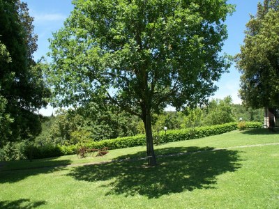 Holiday house Ferienhaus in Città di Castello mit Pool - Outdoor photo 3