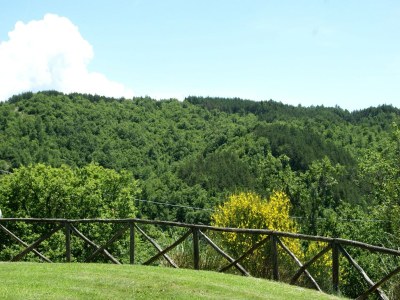 Holiday house Ferienhaus in Città di Castello mit Pool - Outdoor photo 10
