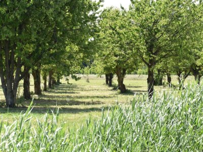 Villa Villa in Bosrijk nahe Horsterwold - Environment photo 32