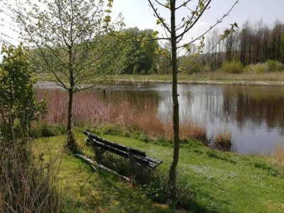 Villa Villa in Bosrijk nahe Horsterwold - Environment photo 34