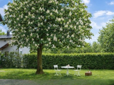 Holiday apartment Toscanapark - Features photo 15