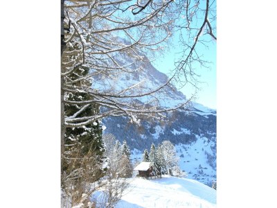 Chalet Bella Vista. - Environment photo 28