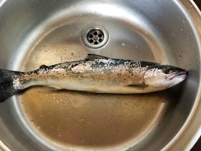 Holiday house 6 Personen Ferienhaus in Grenaa-By Traum - Outdoor photo 35