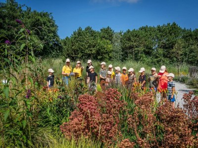 Holiday park Texel Chalet mit Hotelkomfort - Outdoor photo 8