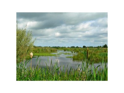 Villa Waterfront Villa - Environment photo 36