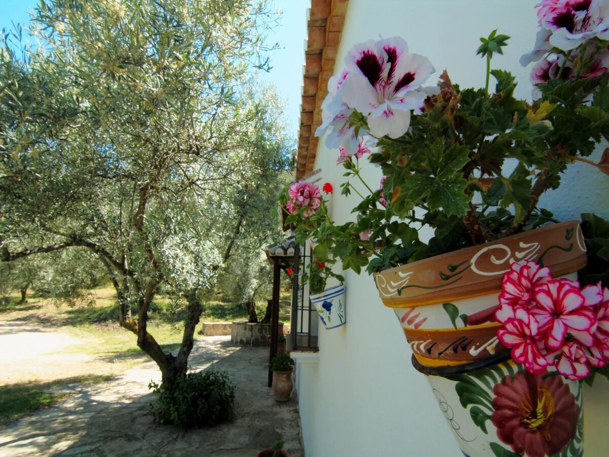 Holiday house Cottage in Antequera with Pool near El Torcal - Outdoor photo 2
