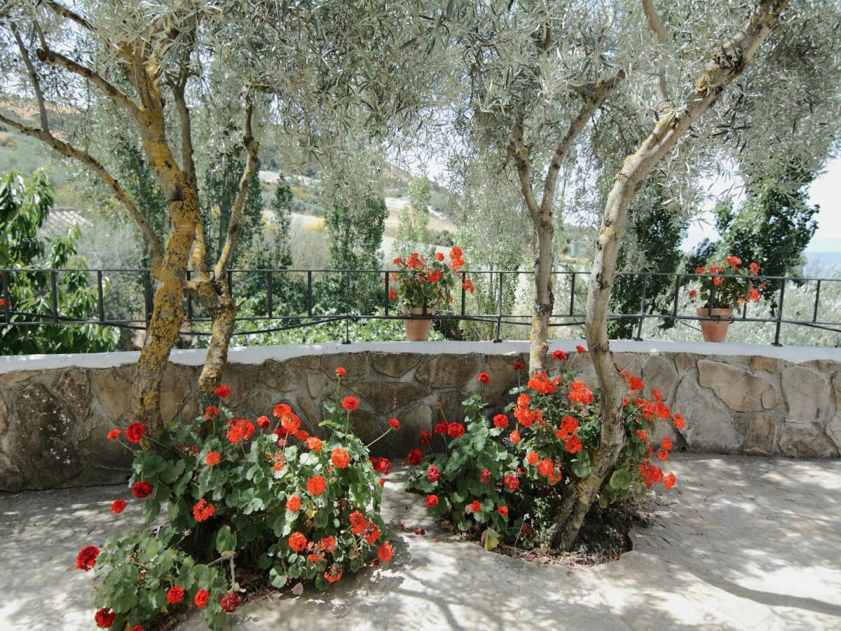 Holiday house Cottage in Antequera with Pool near El Torcal - Outdoor photo 4