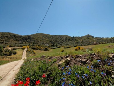 Holiday house Cottage in Antequera with Pool near El Torcal - Environment photo 26