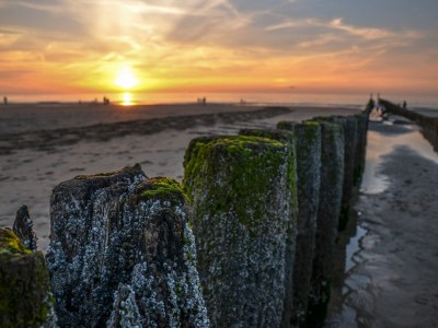 Holiday apartment DO44 't Groentje 9A - Environment photo 26