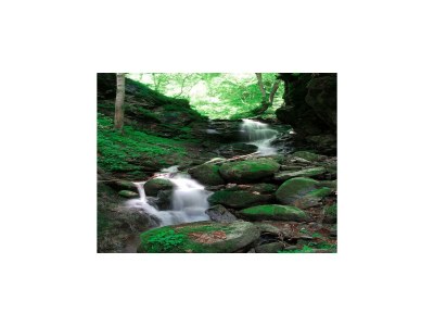 Apartment Bauernhaus nahe Afritzer See - Environment photo 50