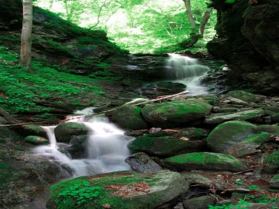 Apartment Farmhouse near Afritzer See & Verditz Trails - Environment photo 17
