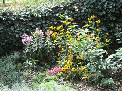 Holiday house 'La Casetta ' - Outdoor photo 6