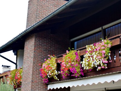 Holiday apartment Hirblinger "Appartment Berglick" 1 - Outdoor photo 4