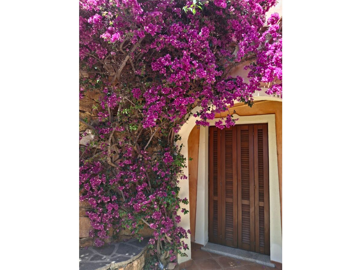 Holiday apartment Casa Anna - Outdoor photo 5