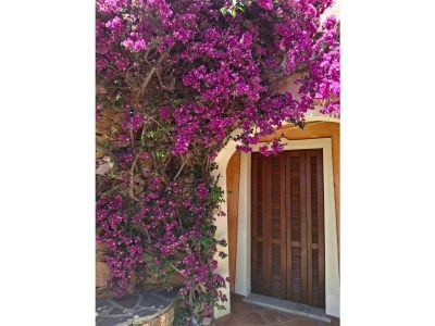 Holiday apartment Casa Anna - Outdoor photo 5