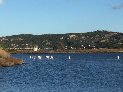 Holiday apartment Casa Anna - Environment photo 26